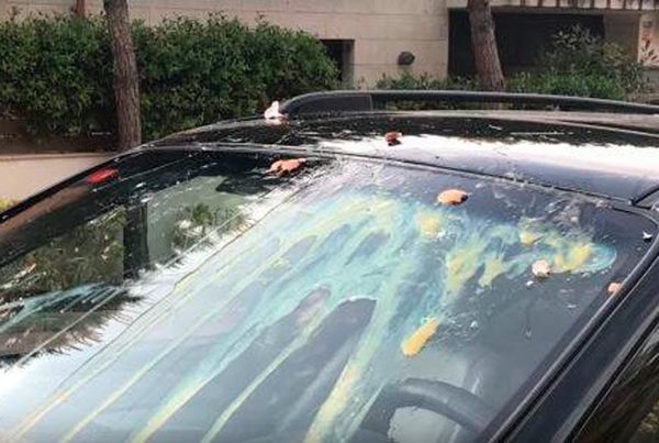 ¡LANZAN HUEVO AL PARABRISAS PARA ROBAR CAMIONETA LAND ROVER!