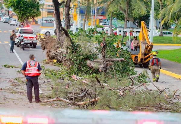 ¡PEGA FRENTE FRÍO 11! - *Todos alerta en Boca del Río: Unánue