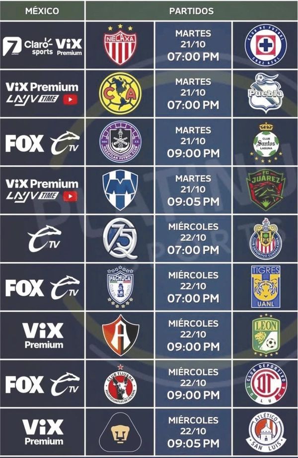 ¡SE ABRE LA JORNADA 14 EN LA LIGA MX!