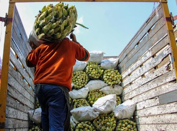 ¡75 DE CADA 100 PESOS! - *Se irán a deuda del país