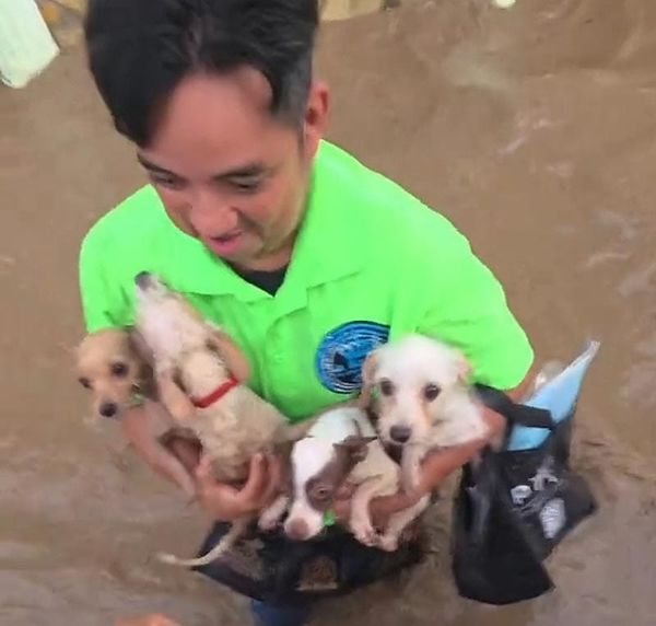 ¡OPERACIÓN RESCATE! - EN POZA RICA