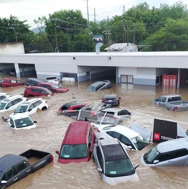 ¡AUTOS FLOTANDO! - PURAS PÉRDIDAS