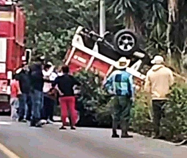 ¡APARATOSA VOLCADURA DE CAMIONETA CARGADA CON COCHINITOS!