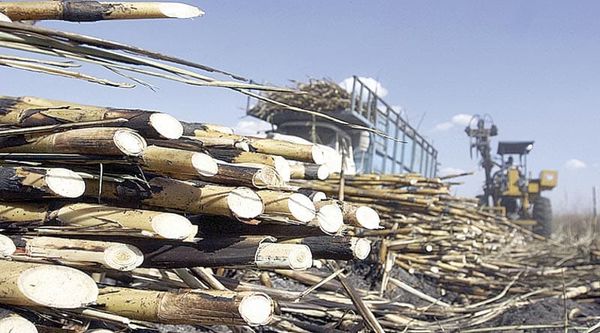 ¡MÉXICO IMPONE ARANCEL DEL 210% AL AZÚCAR IMPORTADA! - PARA PROTEGER AL SECTOR CAÑERO