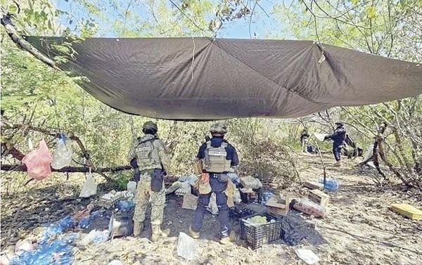 ¡DESMANTELAN 4 NARCOCAMPAMENTOS EN ZONA LIMONERA DE MICHOACÁN!