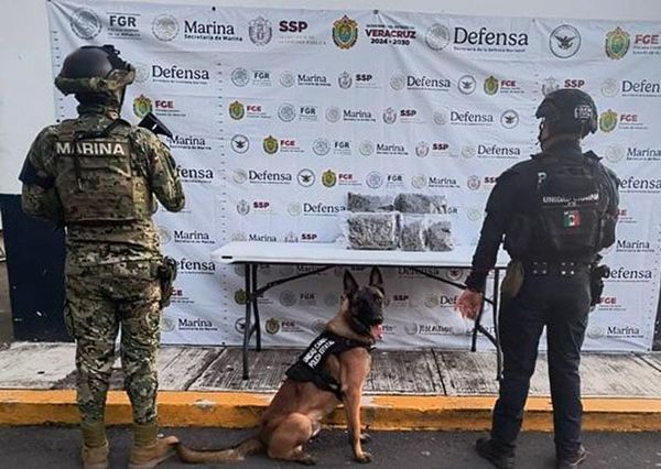 ¡DECOMISA SSP 116 DOSIS DE ESTUPEFACIENTES Y DETUVO A 20 DELINCUENTES! - EN VARIOS OPERATIVOS EN 20 MUNICIPIOS DEL ESTADO