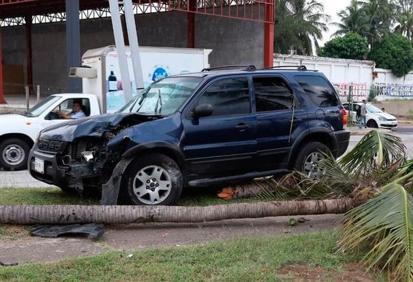 ¡SE IMPACTÓ CONTRA PALMERA Y LUMINARIA!