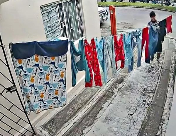 ¡“RATOTA” SE ROBA LA ROPA DEL TENDEDERO!