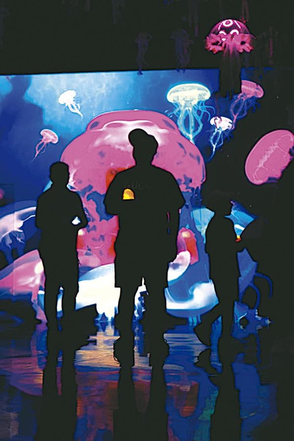 ¡SUEÑOS DEL OCÉANO!