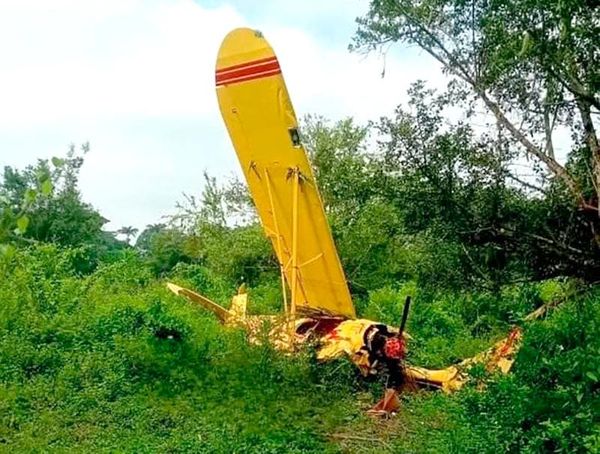 ¡SE CAYÓ LA AVIONETA! - ANDABA FUMIGANDO