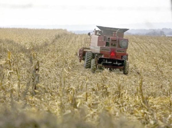 ¡DARÍA EU 12 MMDD A AGRICULTORES AFECTADOS POR ARANCELES!