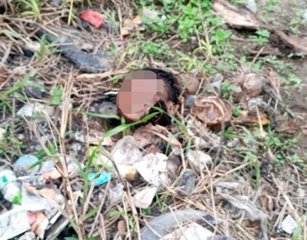 ¡DEJAN CABEZA HUMANA BAJO EL PUENTE CARACOL!