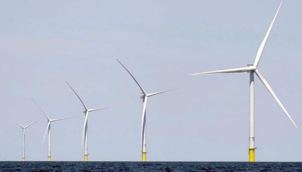 ¡GOBIERNO DE TRUMP SUSPENDE CINCO PROYECTOS EÓLICOS MARINOS!