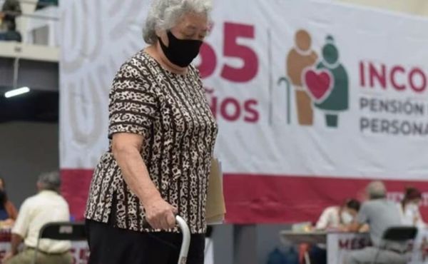 ¡PVEM PROPONE CÁRCEL A QUIENES GASTEN, SIN CONSENTIMIENTO, PENSIÓN DEL BIENESTAR DE PADRES O ABUELOS!