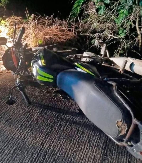 ¡JOVEN CHOCA CONTRA VACA Y PIERDE LA VIDA!