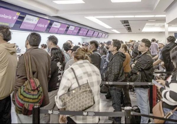 ESTO ES LO QUE RECOMIENDA LA PROFECO