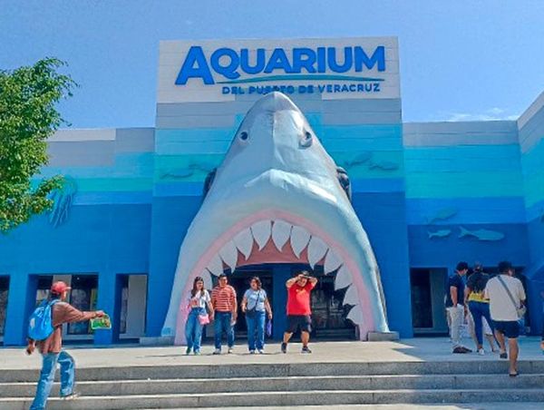 ¡LE DAN ULTIMÁTUM!