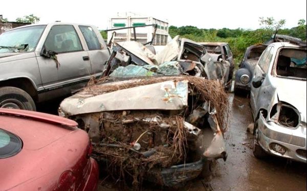 ¡LOS ANDAN BUSCANDO!