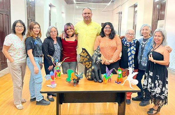 ACTIVIDADES EN EL CEVART
