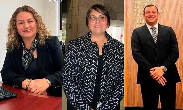 ¡YA HAY TERNA! - PARA LA CEDH