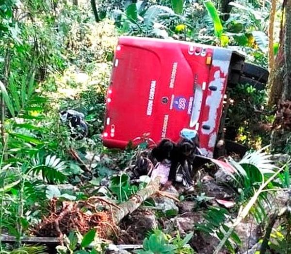 ¡SALIÓ VOLANDO! - 20 HERIDOS