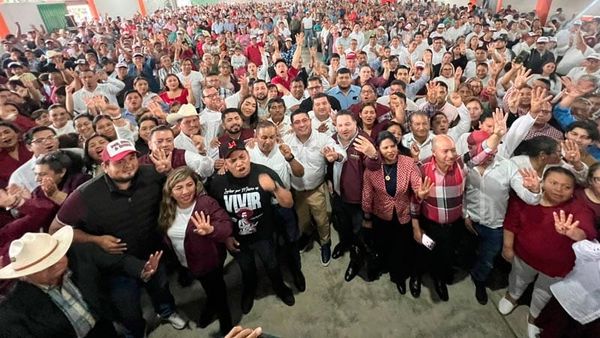 ¡ZEPETA SE MUEVE! - ÁNDALE