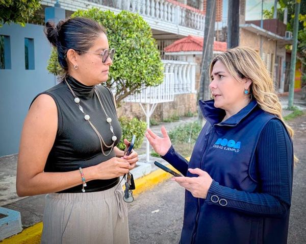 ¡QUITAN 52 AUTOS MACETA!