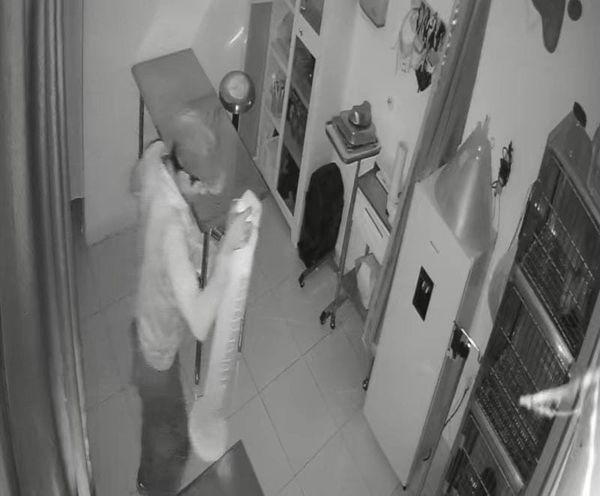 ¡ROBAN VETERINARIA DEDICADA AL RESCATE DE ANIMALES!