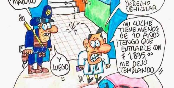 LOS CARTONES