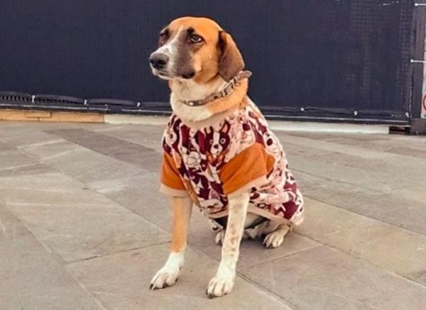 ¡MARÍA TERESA Y DANILO!