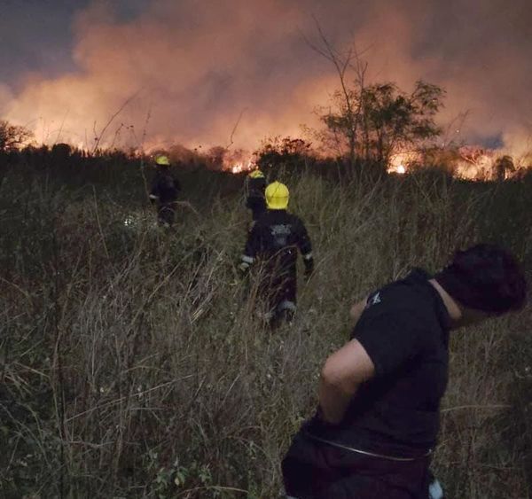 ¡BOMBEROS COMBATEN QUEMA DE PASTIZAL EN LAS BAJADAS Y ALBATROS!