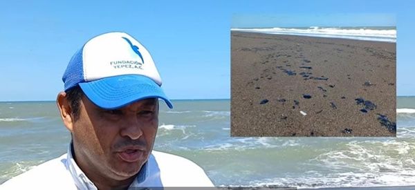 ¡ES UN ECOCIDIO! - FOCOS ROJOS