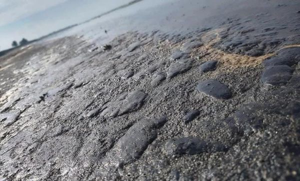 ¡PURO CHAPOPOTE! - Y POR TONELADAS