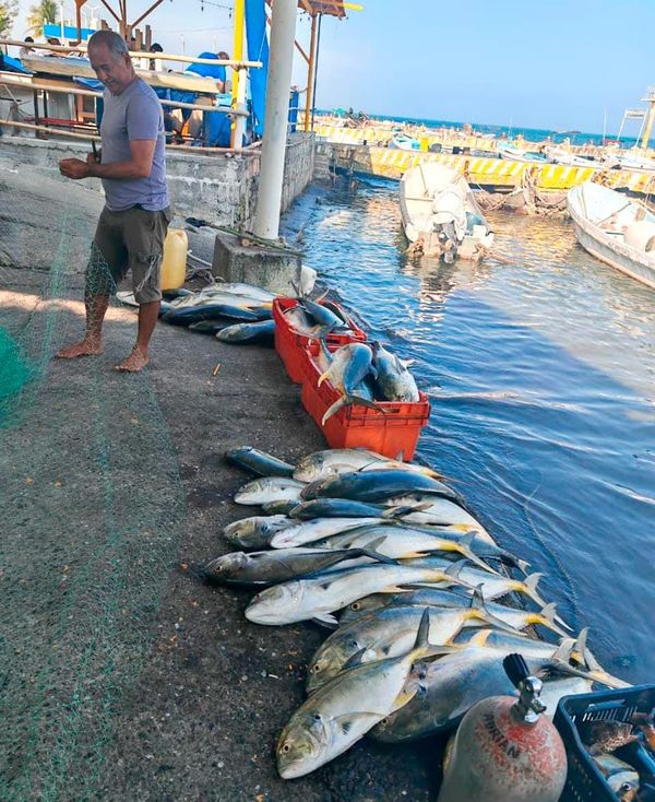 ¡CASI UNA TONELADA! - MEGA-PESCA