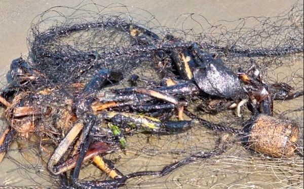 ¡LLEGA A PLAYAS DE CATEMACO! - LA MAREA NEGRA