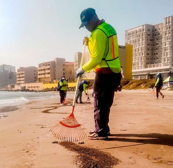 ¡LLEGA Y LA LIMPIAN!