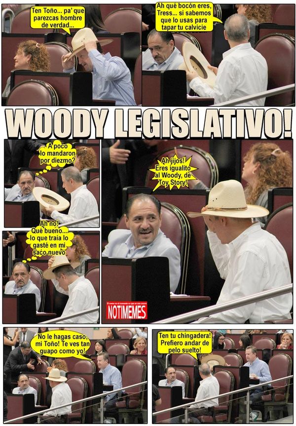 NOTI-MEME | - WOODY LEGISLATIVO!