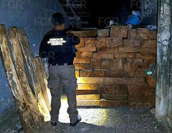¡ASEGURAN EN CATEO 190 TABLONES DE MADERA DE CEDRO!
