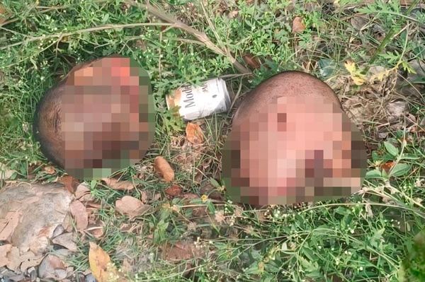 ¡ENCUENTRAN DOS CUERPOS DESCUARTIZADOS EN PAPANTLA!