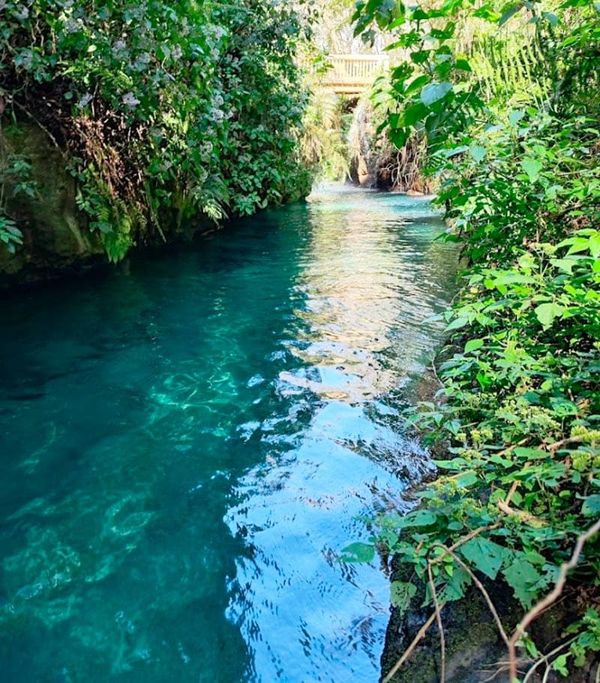 ¡SUSPENDE ACTIVIDADES EN PANCHO POZA! - OTRO JUEZ FEDERAL