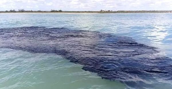 ¡LE PONDRÁN OJOS AL GOLFO DE MÉXICO! - PARA DETECTAR LOS DERRAMES