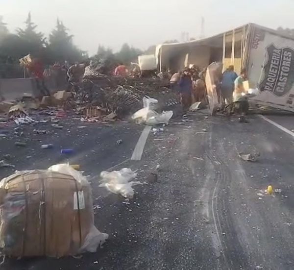 ¡VOLCÓ CAMIÓN DE CASTORES EN EL FRESNO!