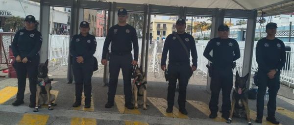 ¡DENUNCIAN PRESUNTO ABUSO A MENOR EN PRIMARIA DE MEDELLÍN!