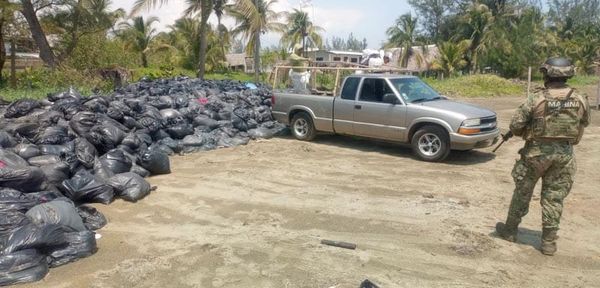 ¡ERAN BOLSAS CON SARGAZO! - PLOP