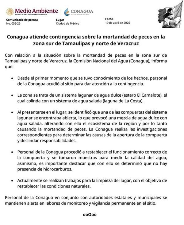 ¡FUE UNA COMPUERTA! - *La dejaron abierta