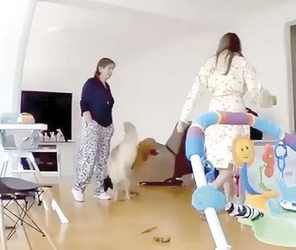 ¡GIRAN ORDEN DE APREHENSIÓN CONTRA SUEGRA DE EX MISS!