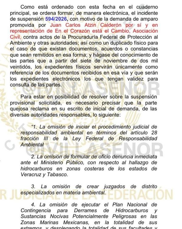 ¡QUE FRENEN ECOCIDIO! - ORDENA JUEZ FEDERAL