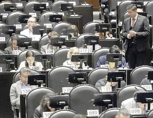 ¡AVANZAN 171 PERSONAS A LA SIGUIENTE FASE DE SELECCIÓN DE CONSEJEROS DEL INE!