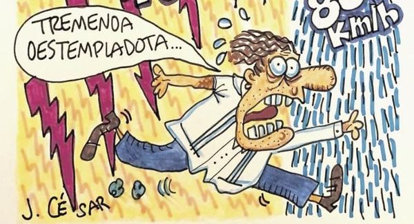 LOS CARTONES