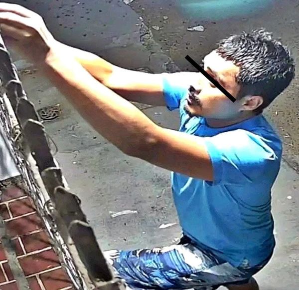 ¡GRABAN A ‘RATÓN’ MADRUGADOR ROBANDO EN CASAS!